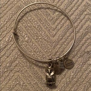 Alex and Ani Ode to the Owl Bracelet